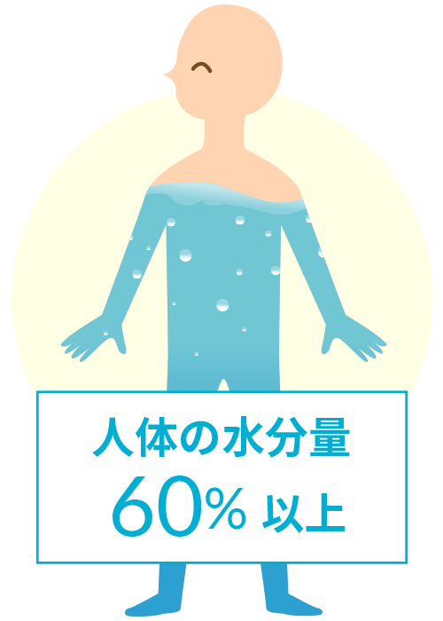 人体の水分量60％以上