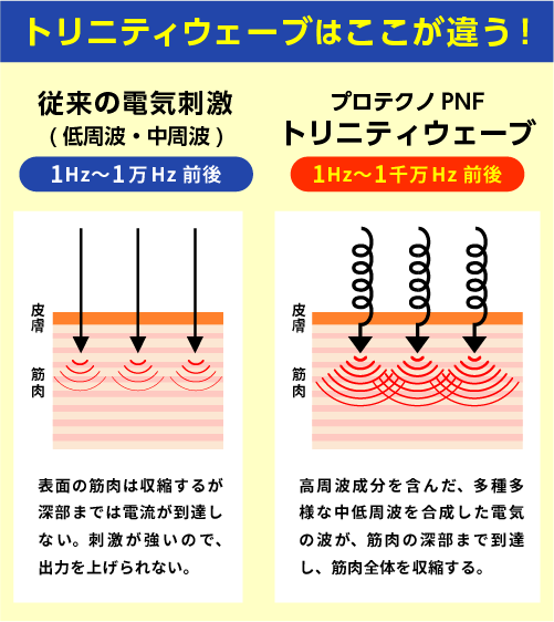 低周波・中周波は1Hz〜1万Hz前後に対し、トリニティウェーブは1Hz〜1千万Hz。