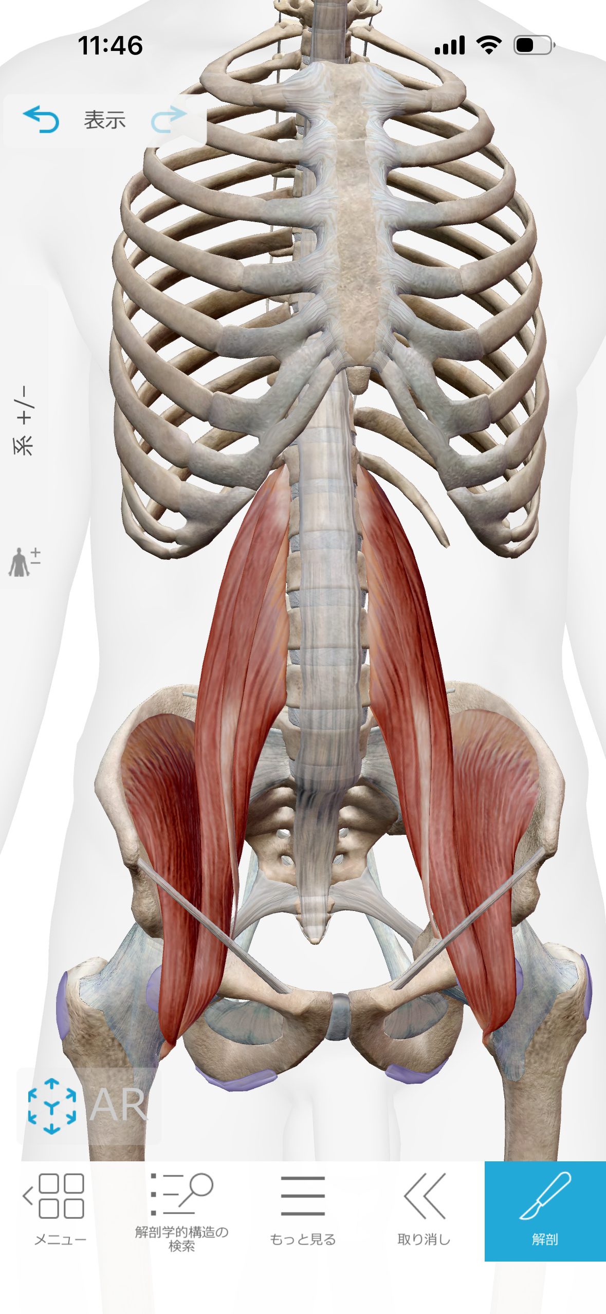 【産後の腰痛、実はこの筋肉が原因かも？】