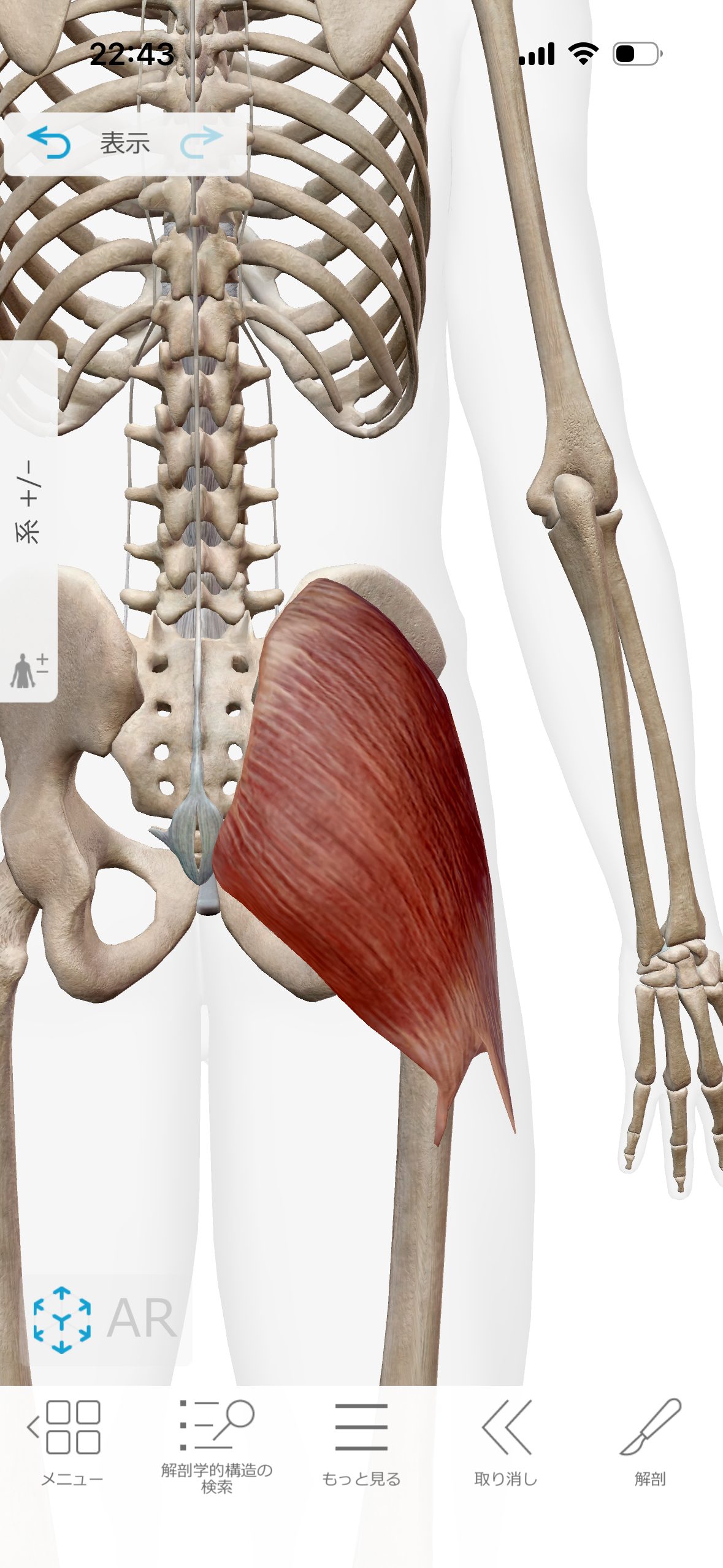 【産後に大臀筋が原因で起こる不調とは？】
